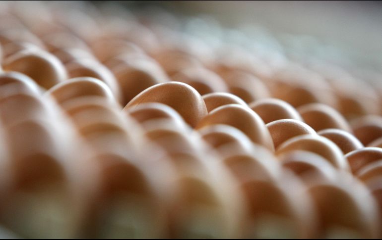 Si el kilo de huevo se vende a más de 50 pesos, es mejor no comprarlo y buscar otro lugar donde esté más barato. AFP / ARCHIVO