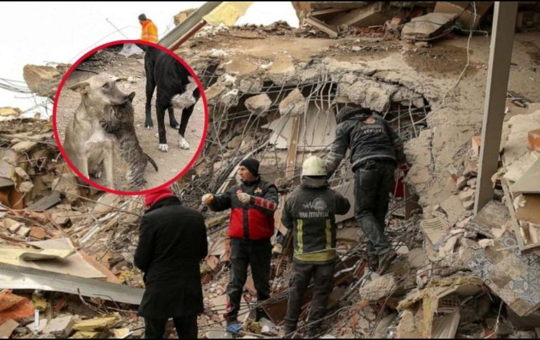 La foto fue calificada como la más hermosa del día. ESPECIAL