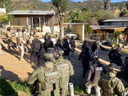 Los agentes lesionados fueron llevados al hospital y el oficial canino fue operado de urgencia. SUN