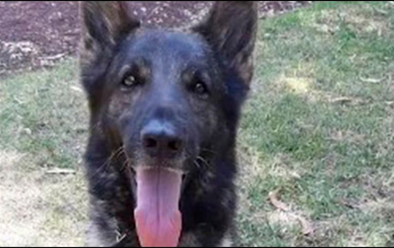 Proteo perdió la vida en sus labores de rescate. ESPECIAL