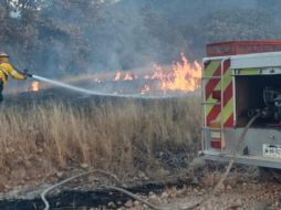 El incendio en el Bosque de La Primavera se dio en Palo Gordo. ESPECIAL