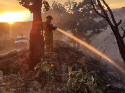 El incendio en La Primavera se registra este lunes desde las 15:00 horas. ESPECIAL