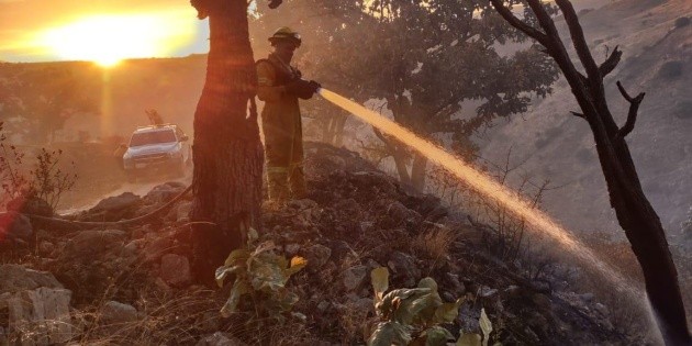 UDG: ¿Mañana se suspenden las clases por el incendio en La Primavera ...