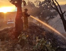 El incendio en La Primavera se registra este lunes desde las 15:00 horas. ESPECIAL