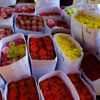 Preparaba arreglos florales para el 14 de febrero; lo asesinan a tiros