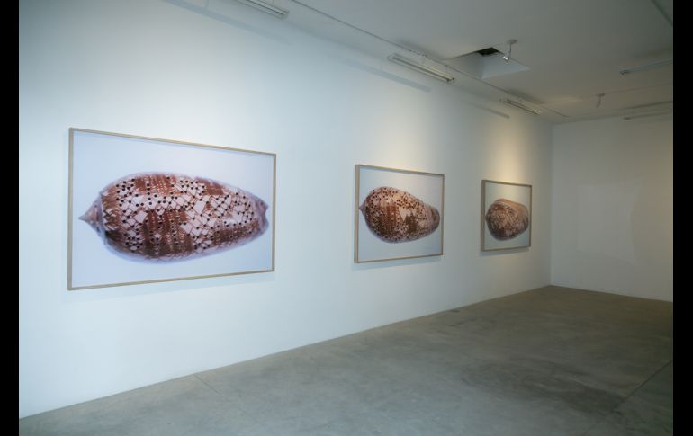 Exposición. GENTE BIEN JALISCO/Jorge Soltero