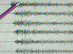 El temblor fue de magnitud 4.0 y se registró en Cihuatlán. ESPECIAL