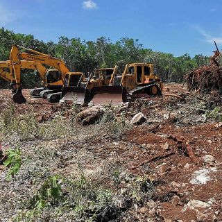 El Tren Maya ha enfrentado 50 amparos; niegan suspensión en el tramo 5