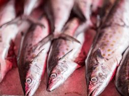 El creyente debe abstenerse de comer carne y ayunar los días establecidos por la Iglesia durante la Cuaresma. EL INFORMADOR / ARCHIVO