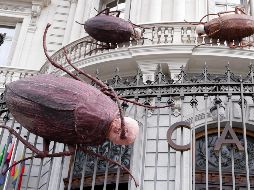 Cinco cucarachas cuelgan como advertencia de lo que le podría suceder a la humanidad. EFE/ E.Oyana