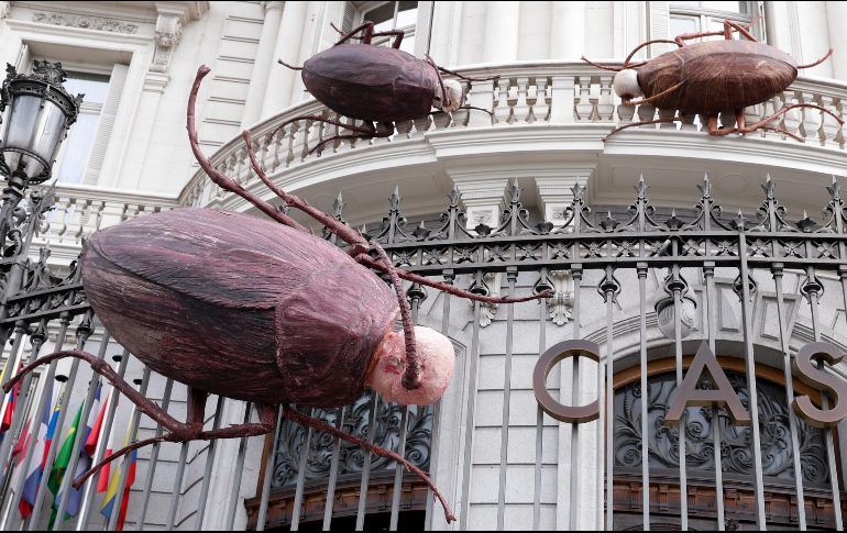 Cinco cucarachas cuelgan como advertencia de lo que le podría suceder a la humanidad. EFE/ E.Oyana