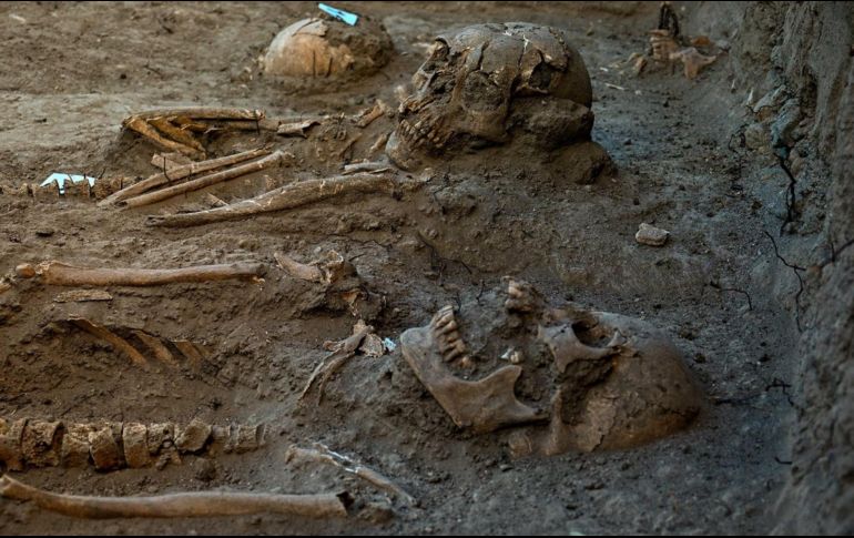 Fueron encontrados restos óseos de 21 personas en el Bosque de Chapultepec. Twitter/@cultura_mx