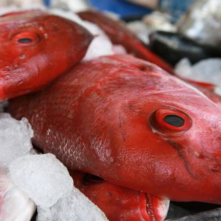 ¿Por qué no se come carne roja en Cuaresma?