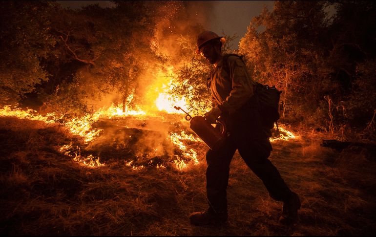Tan solo al corte del 13 de febrero del presente año, se han registrado 79 incendios forestales en Jalisco. EFE / ARCHIVO