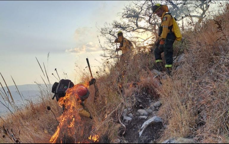 Hasta el momento seguían las labores para tratar de sofocar las llamas. ESPECIAL