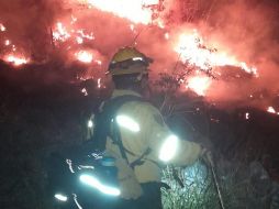 Fueron 40 elementos de diversas corporaciones los que se hicieron cargo del siniestro. ESPECIAL