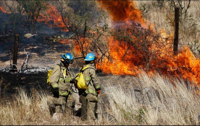 La situación geográfica del Estado lo vuelve más vulnerable a los incendios forestales. SUN/Archivo