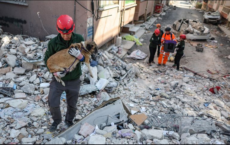 Los equipos de búsqueda, compuestos por casi 20 mil expertos, han rastreado 20 mil 870 edificios derrumbados. EFE/E. Sahin