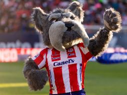 Entre los potosinos es de dominio colectivo el 