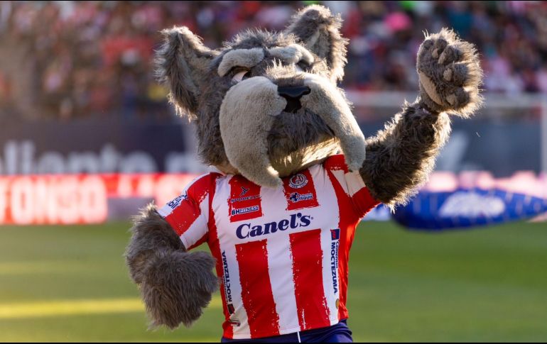 Entre los potosinos es de dominio colectivo el 