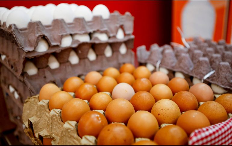 Jalisco es el primer lugar en la producción de huevo a nivel nacional. EL INFORMADOR / ARCHIVO