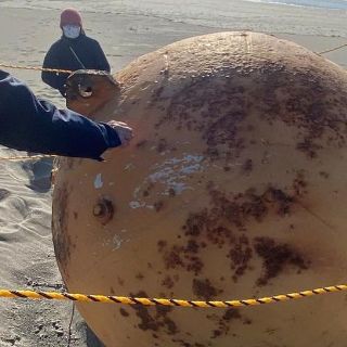 La misteriosa bola gigante hallada en una playa al suroeste de Tokio