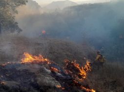 EL incendio en el Bosque La Primavera se registra del ANP, en Zapopan. ESPECIAL