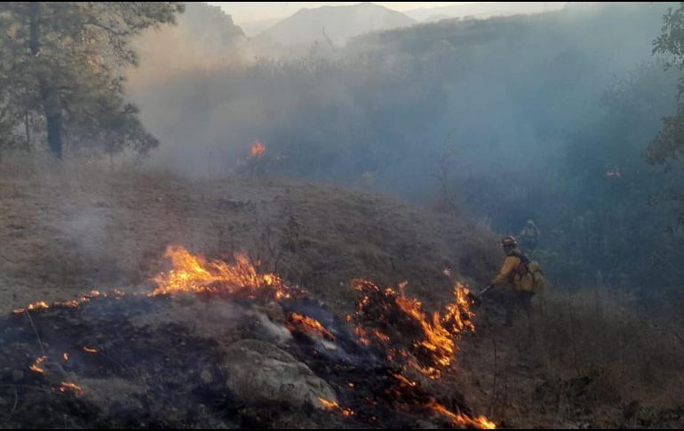 EL incendio en el Bosque La Primavera se registra del ANP, en Zapopan. ESPECIAL