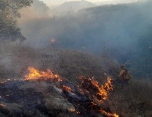 EL incendio en el Bosque La Primavera se registra del ANP, en Zapopan. ESPECIAL
