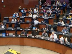 Con 62 votos a favor y 43 en contra, el pleno del Senado aprobó el dictamen. SUN