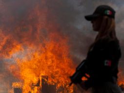 El narcotráfico afecta a toda América Latina. EFE/ ARCHIVO