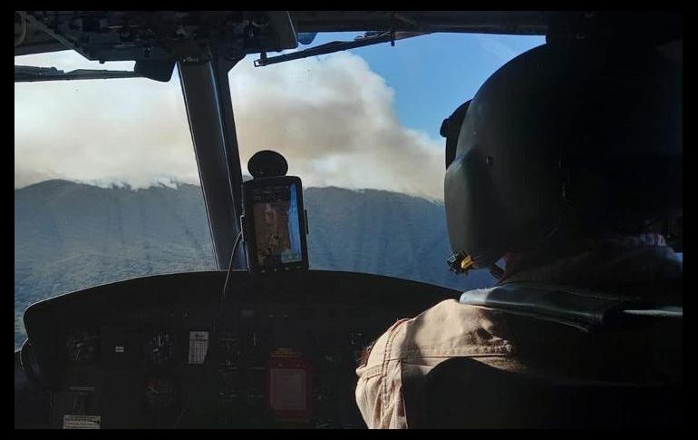 Autoridades no detallaron el número exacto de hectáreas con afectaciones por las llamas. ESPECIAL/SEMADET