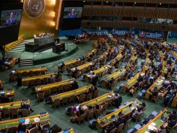 La ONU pidió a Rusia que pare la agresión. AP