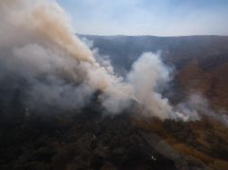 El incendio en La Primavera se registara desde ayer en la tarde. ESPECIAL