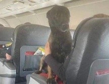 La foto enterneció a los cibernautas, quienes ya hicieron viral la imagen. ESPECIAL