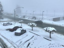 Es la primera tormenta invernal que golpea Los Ángeles. AFP