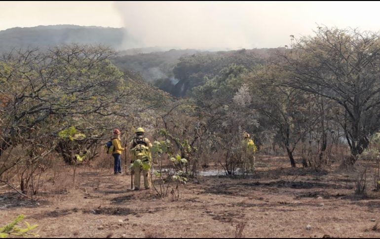 Brigadistas aún se encuentran liquidando el incendio en el Bosque de La Primavera. ESPECIAL
