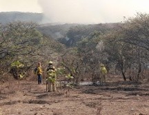 Brigadistas aún se encuentran liquidando el incendio en el Bosque de La Primavera. ESPECIAL
