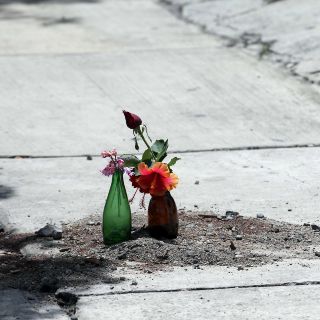 En enero, siete mujeres fueron asesinadas a diario en México