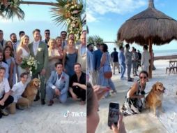 El perrito tuvo su propio platillo en la boda. SUN
