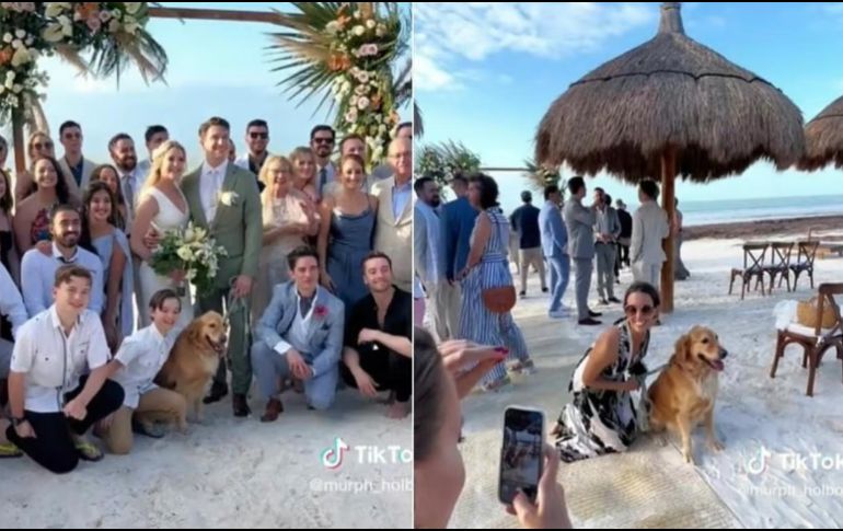 El perrito tuvo su propio platillo en la boda. SUN