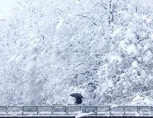 Un hombre que se protege con una sombrilla cruza un puente en medio de un nevado pasaje en Sarajevo, Bosnia. AP/A. Durgut