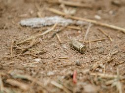 Los niños dijeron a las autoridades que, luego de cometer el crimen, el sujeto se dio a la fuga en dirección al río de la población. EL INFORMADOR/ARCHIVO