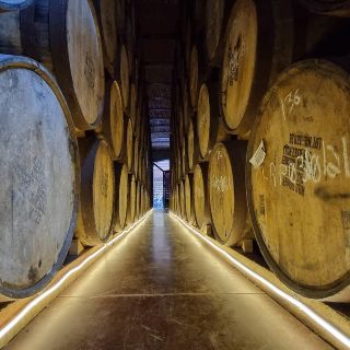 Ven riesgo en creación de nuevos consejos reguladores de tequila