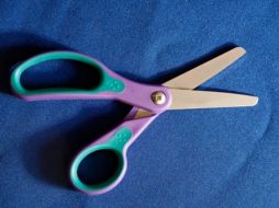 La estudiante fue detenida arbitrariamente y los policías violaron sus derechos humanos y civiles. SUN