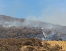 Felipe de Jesús López Sahagún, director general de Protección Civil y Bomberos de Tlajomulco destacó la extinción que fue a las 20:14 horas. CORTESÍA