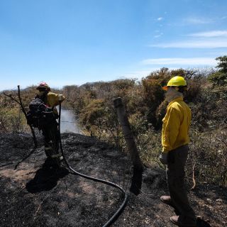 Se queman más de mil hectáreas en ANP de La Primavera