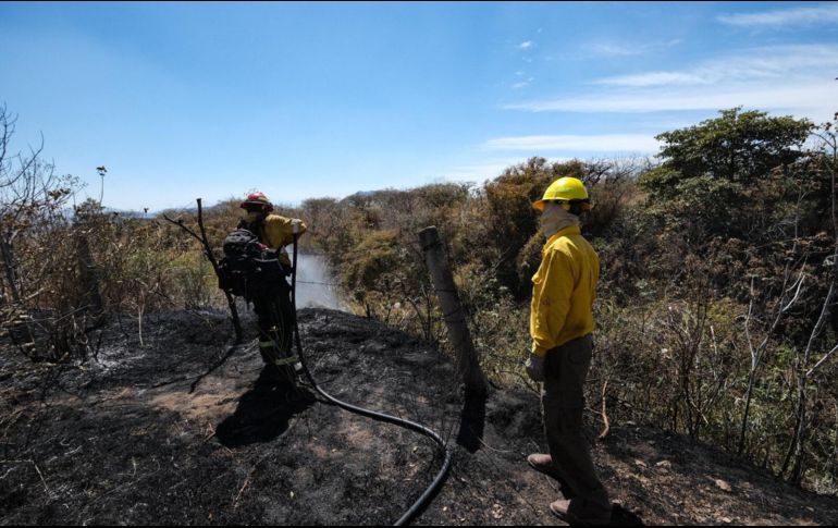 El Bosque de la Primavera ha tenido dos grandes incendios este año. ESPECIAL