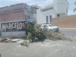 Los hechos ocurrieron en el cruce de las calles Diagonal Alameda y Manuel Acuña. ESPECIAL/Policía de Guadalajara