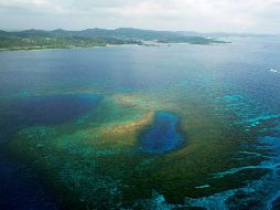 Con la firma de dicho acuerdo se protegerá al 30% de la totalidad de los océanos. EFE/ARCHIVO